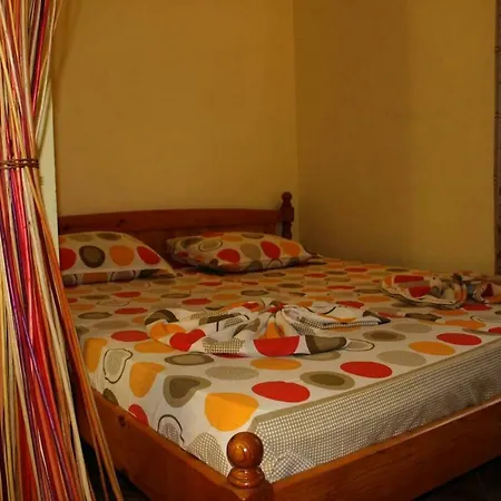 Guest Cveti