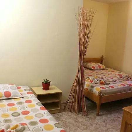Guest house Guest Cveti *